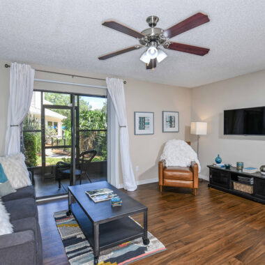 Bradford Pear Apartment Image 4