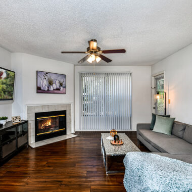 Dogwood Apartment Image 7