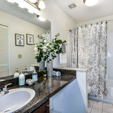 Dogwood Apartment Image 15