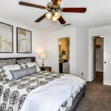 Dogwood Apartment Image 11