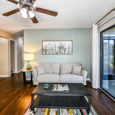 Bradford Pear Apartment Image 14